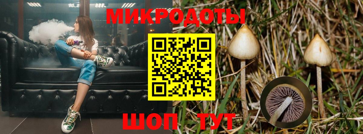 Галлюциногенные грибы Cubensis  Галлюциногенные грибы мицелий  Асбест  Вход с VPN 